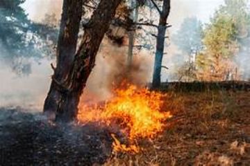 Piemonte stato di massima pericolosità per incendi boschivi.